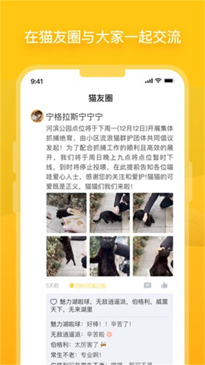 哈啰街猫app2