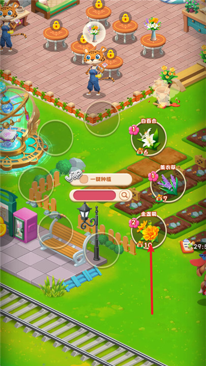 动物花店安卓版