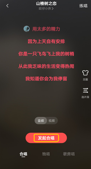 全民k歌2025