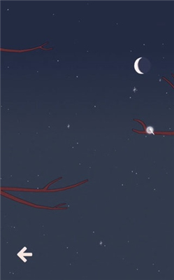 孤独的鸟儿中文版