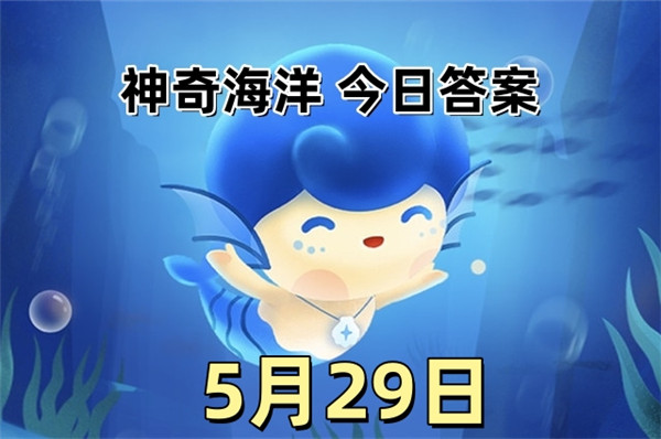 支付宝2025年5月29日神奇海洋答案