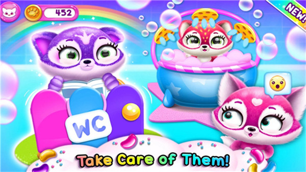 菲露茜斯宠物猫3