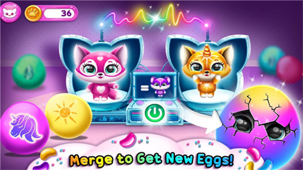 菲露茜斯宠物猫4