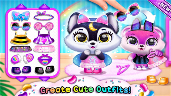 菲露茜斯宠物猫5