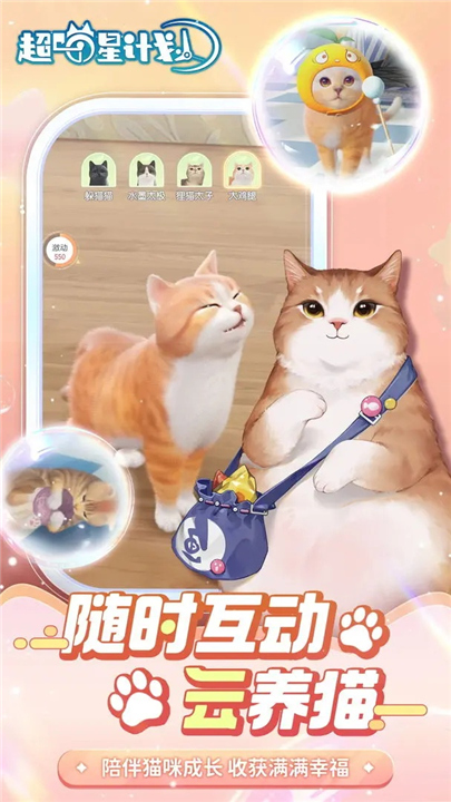 超喵星计划安卓版2