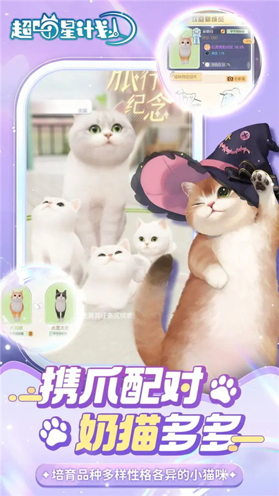 超喵星计划安卓版4