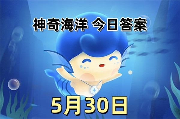 支付宝2025年5月30日神奇海洋答案
