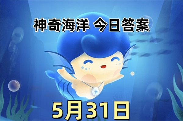 支付宝2025年5月31日神奇海洋答案
