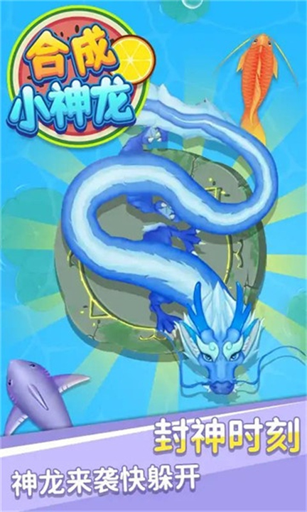 合成小神龙万宁版1