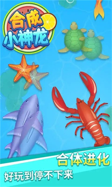 合成小神龙万宁版2