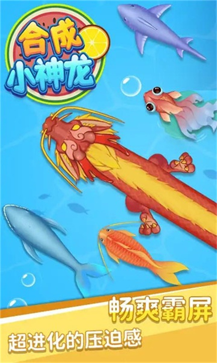 合成小神龙万宁版5