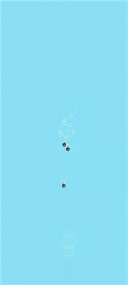 合成小神龙万宁版