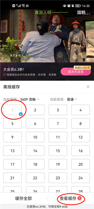 哔哩哔哩app