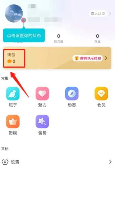 正宗漂流瓶