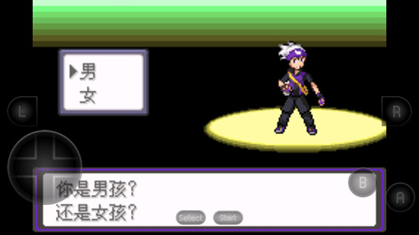 口袋妖怪漆黑的魅影3