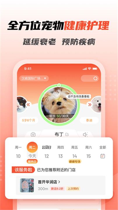 宠物家app2