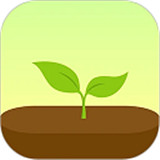 forest专注森林app