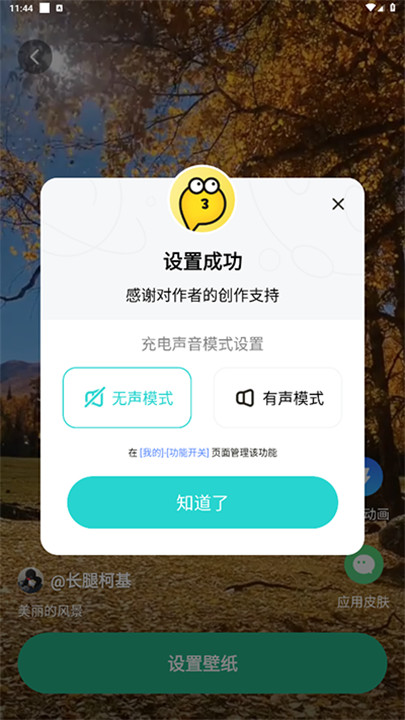 叮咚壁纸
