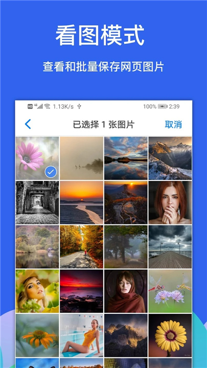 Alook浏览器4