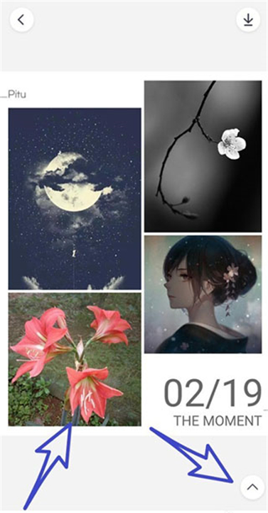 天天p图最新版
