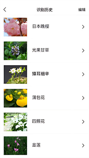 识花君app