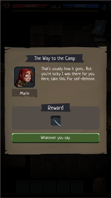 命运的秩序中文版