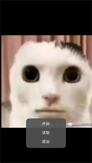 猫猫惊魂手游
