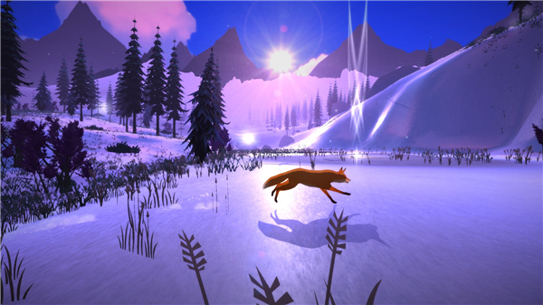 第一棵树中文版1