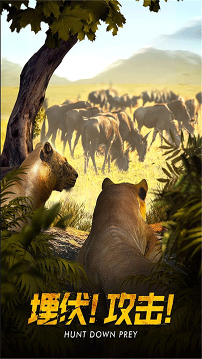 野兽领主新世界1