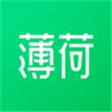 薄荷
