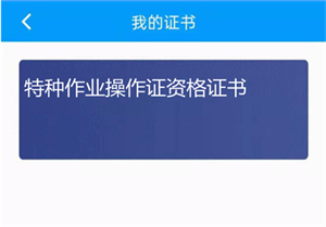 陕西住建电子证书