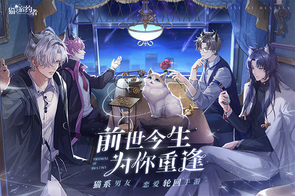 猫之宿约者手游1