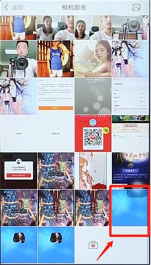 天天p图