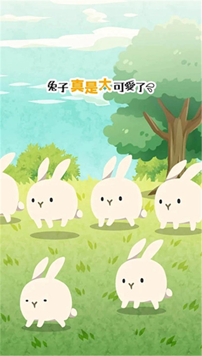 兔子真是太可爱了1