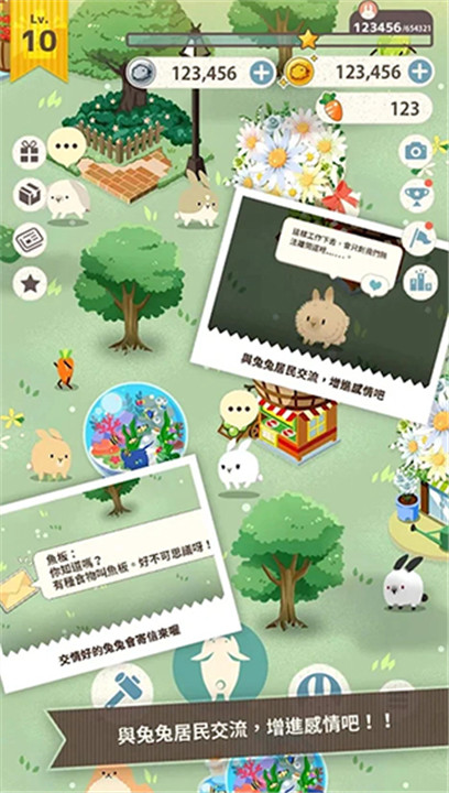 兔子真是太可爱了2