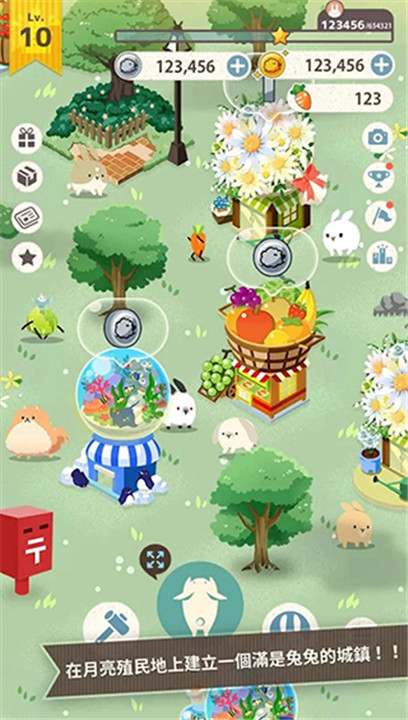 兔子真是太可爱了3