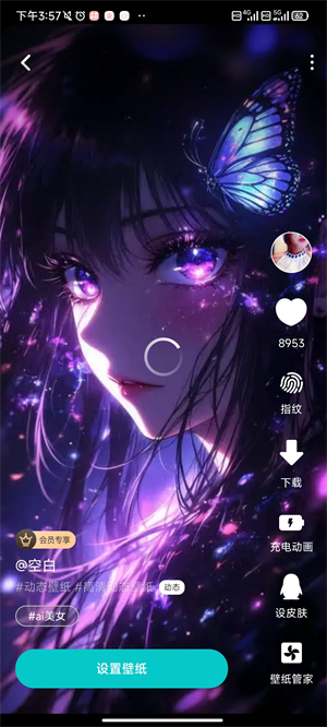 主题壁纸大全app