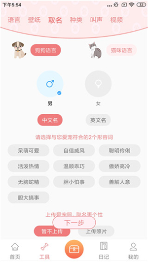 动物语言翻译器