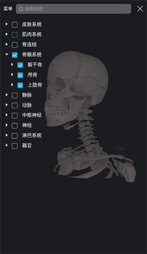 3dbod解剖