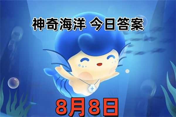 支付宝2025年8月8日神奇海洋答案