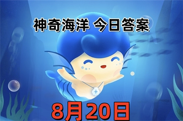 支付宝2025年8月20日神奇海洋答案
