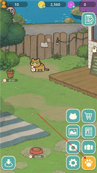 神秘猫咪字典手机版