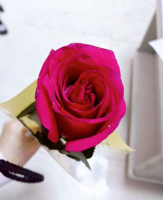 美图秀秀国际版