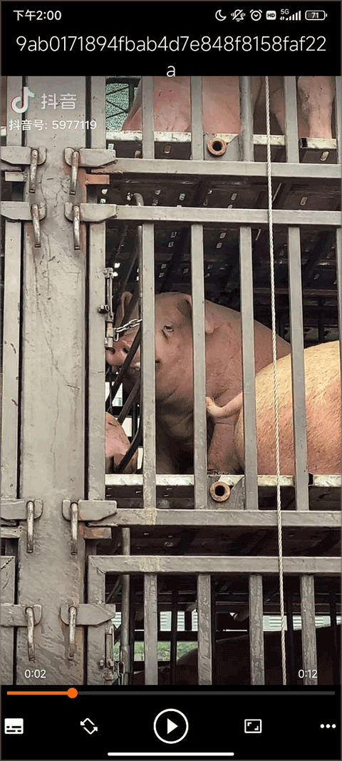 VLC播放器安卓版