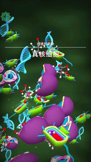 从细胞到奇点官方正版