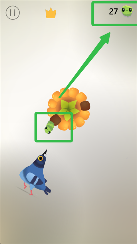 疯狂的鸽子全皮肤版