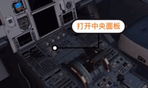 模拟飞行10中文版