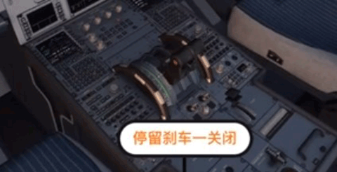 模拟飞行10中文版