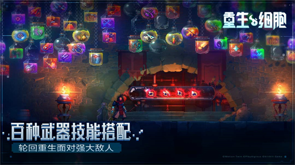 重生细胞汉化版5