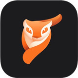 Pixaloop手机修图软件
